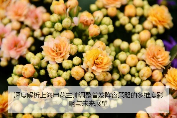 img_1791795583056_232_0_943.jpg（Fengyun）